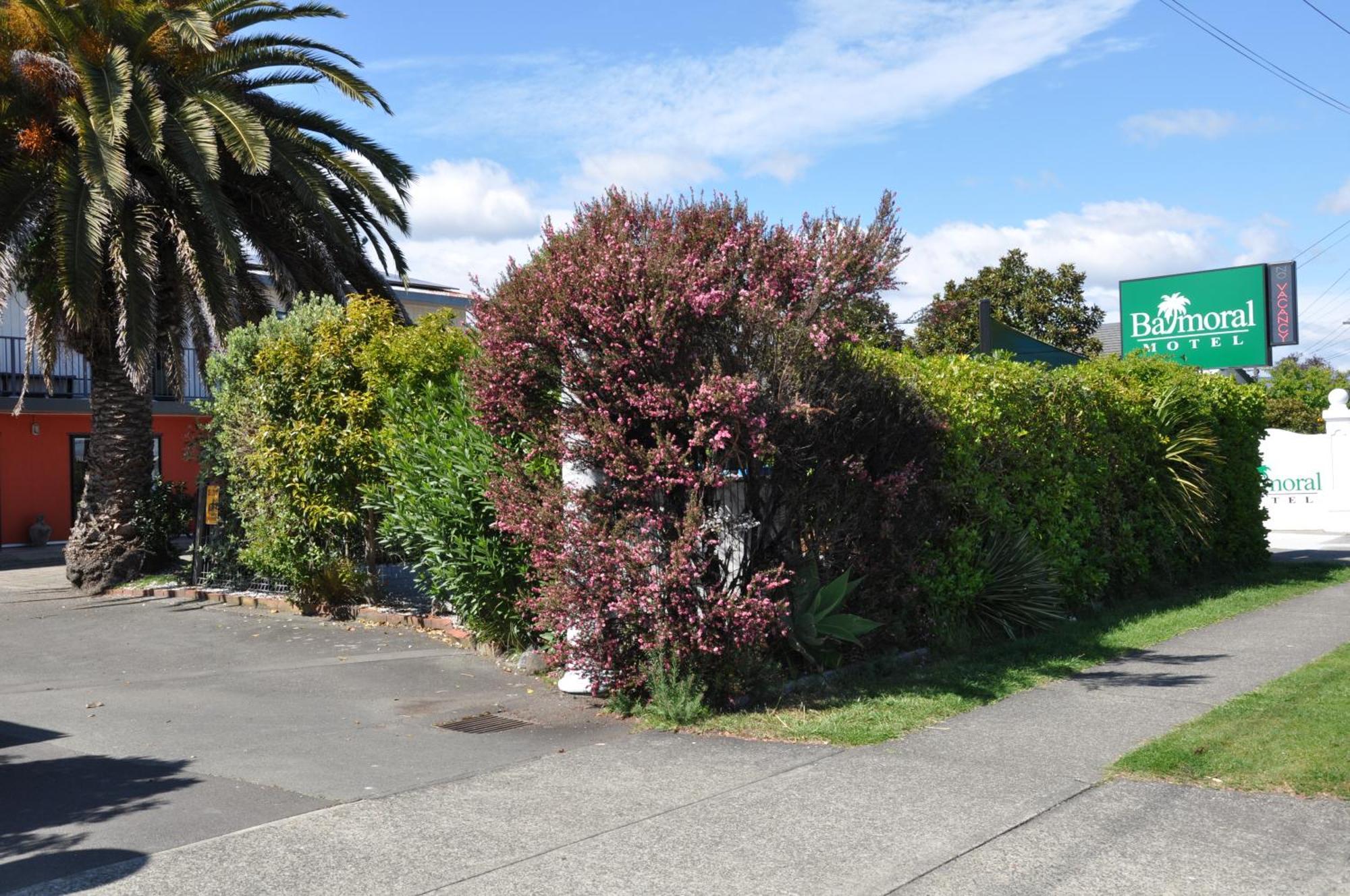 Balmoral Motel 3*